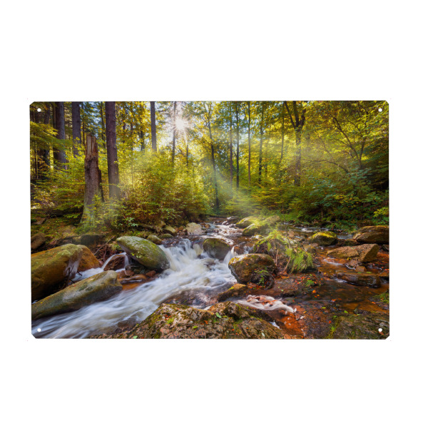 Holzbild "Spirit Garden" artboxONE - Natur