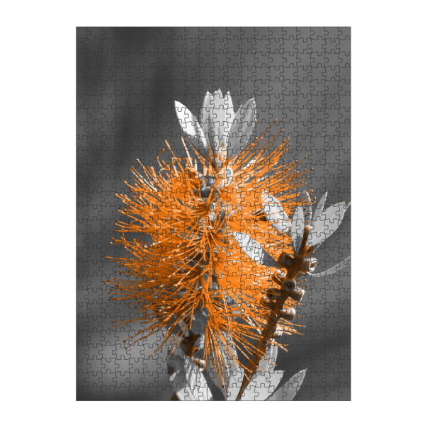 Puzzle Ravensburger "Flaschenbaumblüte ck orange" artboxONE - Natur,Floral,Abstrakt