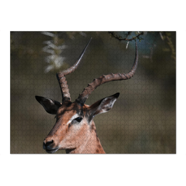 Puzzle Ravensburger "Impala Horns" artboxONE - Natur,Tiere