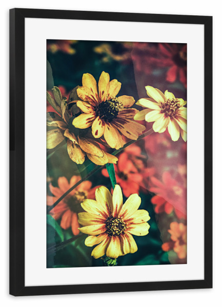Poster mit Rahmen schwarz "Spring blooming close up" artboxONE - Natur,Floral