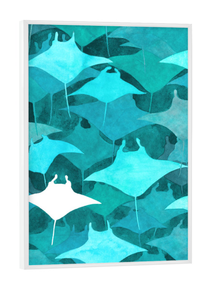 Poster mit weißem Rahmen "Blue Manta" artboxONE - Natur,Tiere,Unterwasser