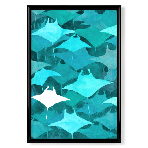 Blue Manta
