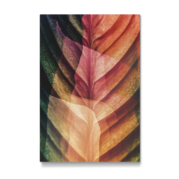 Galerie-Print "Leaf close up in light" 30x20 cm artboxONE