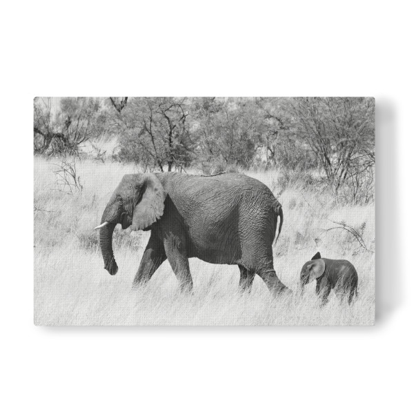 Leinwandbild "Mama und Baby Elefant" artboxONE - Natur,Tiere,Schwarzweiß,Reise / Afrika