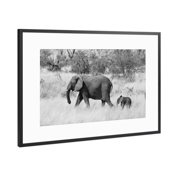 Poster mit Rahmen Schwarz (Metallic) "Mama und Baby Elefant" artboxONE - Natur,Tiere,Schwarzweiß,Reise / Afrika