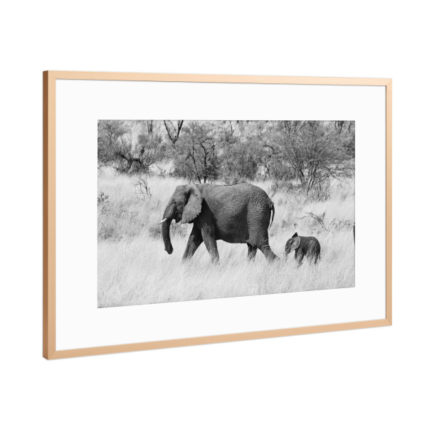 Poster mit Rahmen Kupfer "Mama und Baby Elefant" artboxONE - Natur,Tiere,Schwarzweiß,Reise / Afrika