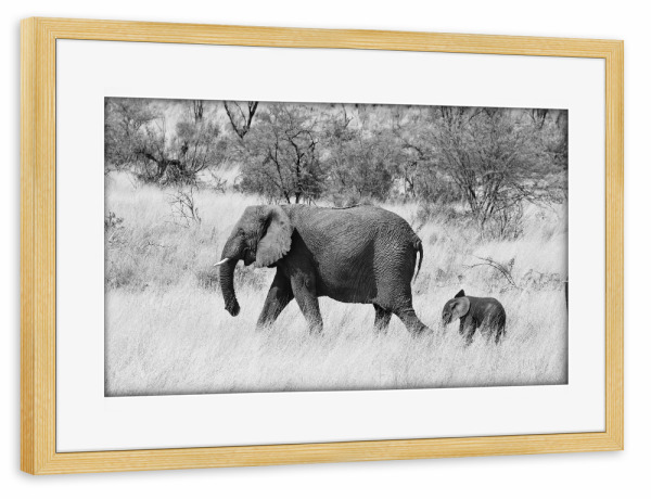 Poster mit Rahmen kiefer "Mama und Baby Elefant" artboxONE - Natur,Tiere,Schwarzweiß,Reise / Afrika