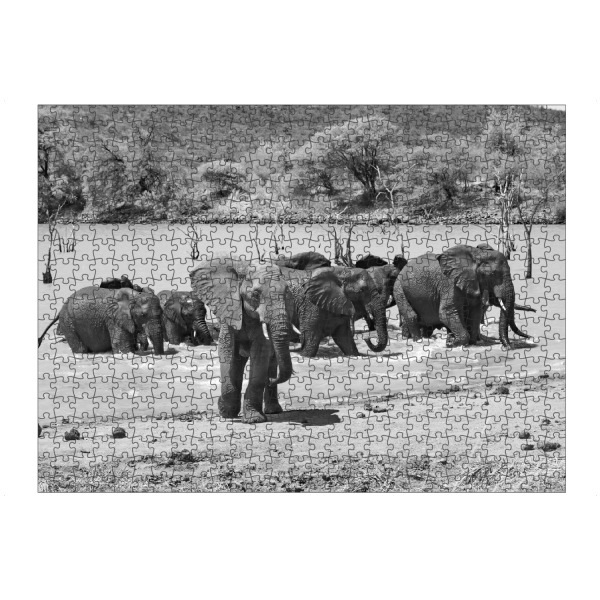 artboxONE Puzzle "Elefanten Badetag" artboxONE - Natur,Tiere,Schwarzweiß,Reise / Afrika