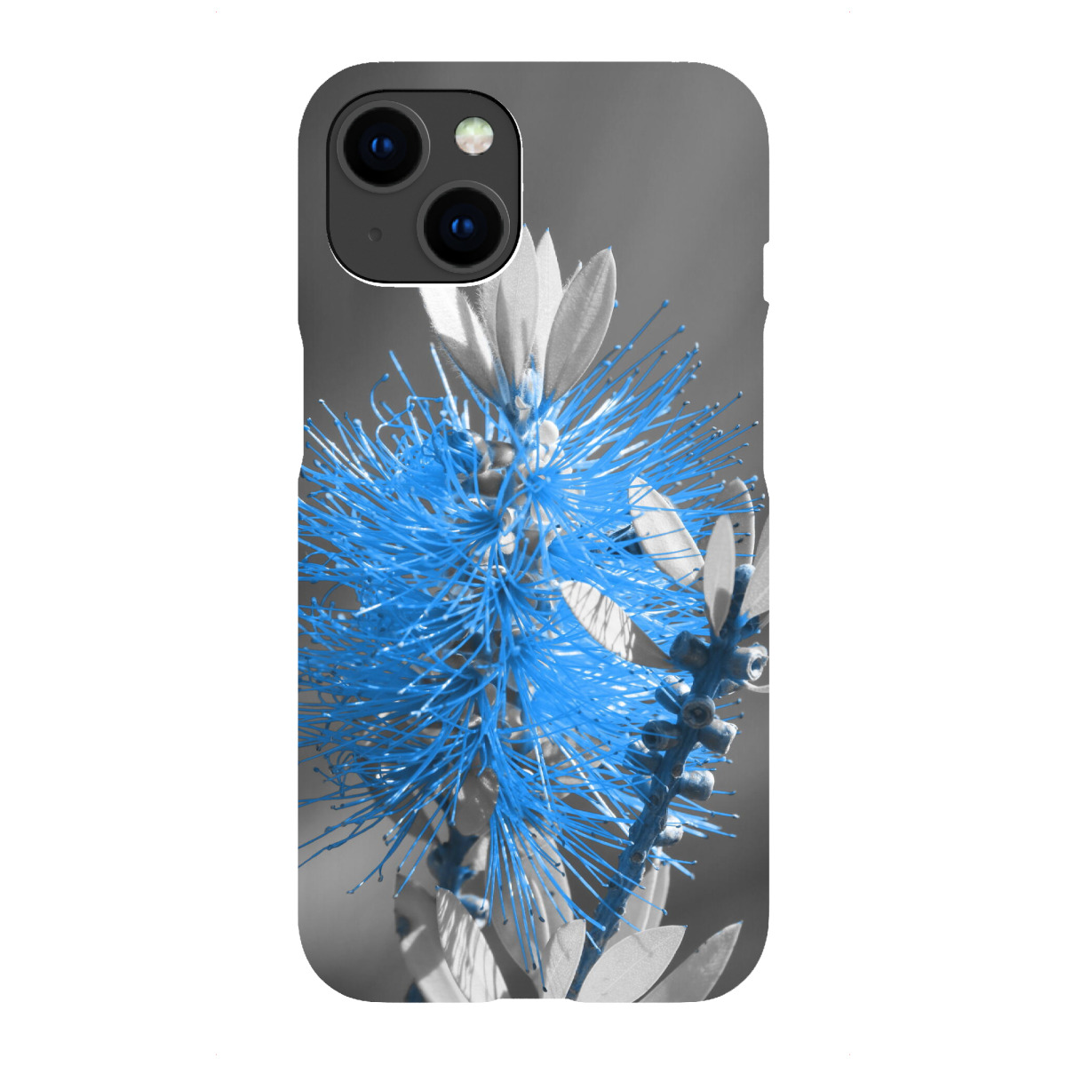 iPhone "Flaschenbaumblüte ck klassik blau" Premium-Case Handyhülle artboxONE