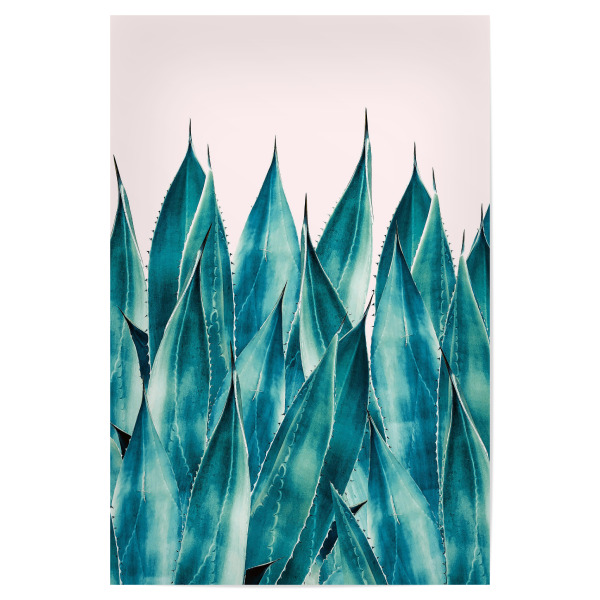 Poster "Summer Agave" artboxONE - Natur - Nature,Agave,Summer,Botanical,Plant,Blush,Pastel,Green,Wildlife,Forest,Garden,Jungle,Natur,Sommer,Floral
