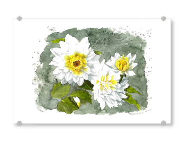 Acrylglasbild "White Flower" artboxONE - Natur,Floral - Weiß,Blume,Flower,White,Rose,Klekse,Watercolor,Aquarell,Yellow,Gelb,Green,Grün