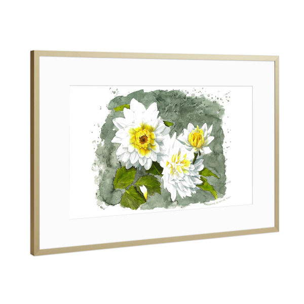 Poster mit Rahmen Gold "White Flower" artboxONE - Natur,Floral - Weiß,Blume,Flower,White,Rose,Klekse,Watercolor,Aquarell,Yellow,Gelb,Green,Grün