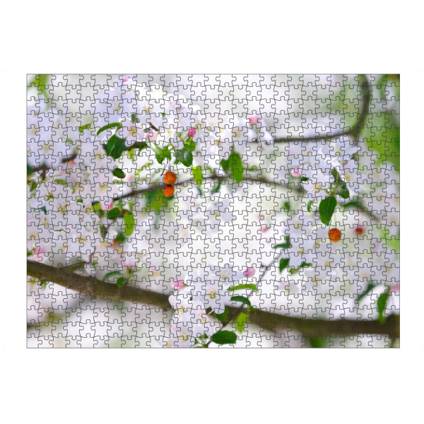 Puzzle Ravensburger "Blooming tree bokeh" artboxONE - Natur,Floral