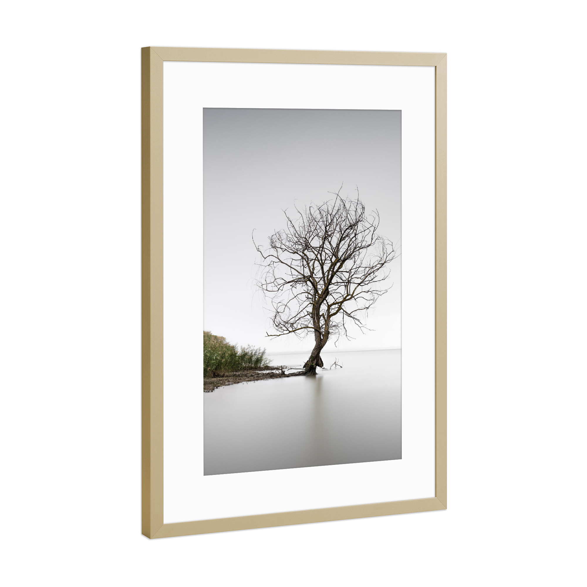 Poster mit Rahmen Gold "Trasimeno Tree Umbrien" artboxONE - Natur,Reise,Reise / Strand und Meer,Städte / Venedig,Reise / Länder