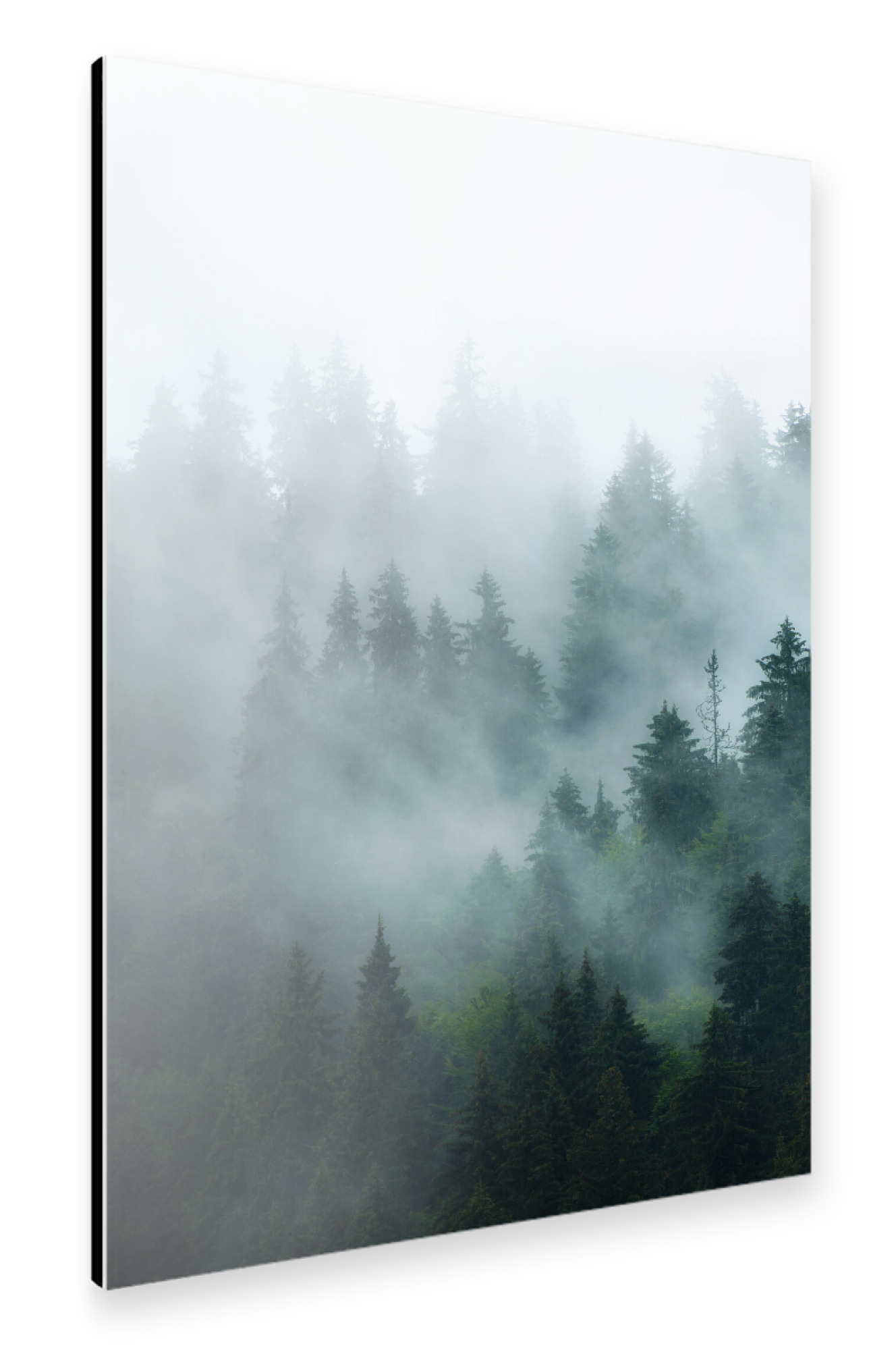 Alu-Dibond "Pine Forest" 30x20 cm artboxONE