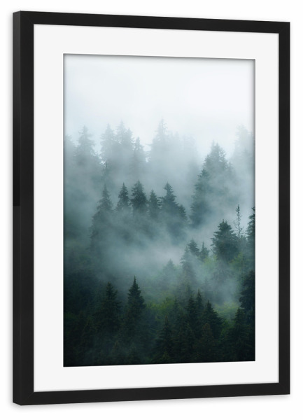 Poster mit Rahmen schwarz "Pine Forest" artboxONE - Natur