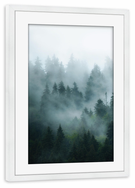 Poster mit Rahmen weiß "Pine Forest" artboxONE - Natur