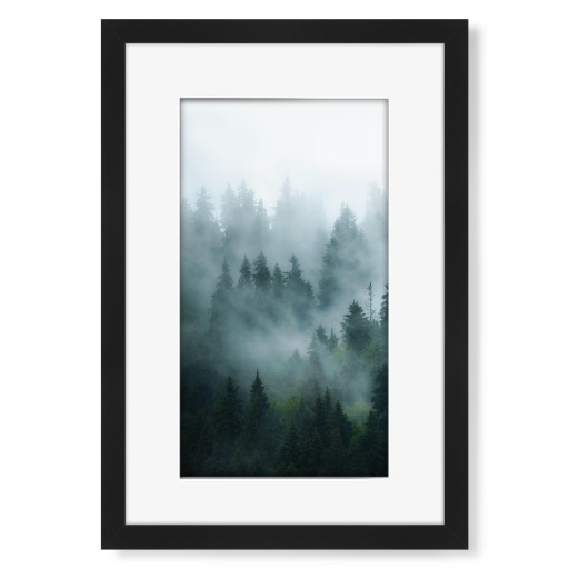 Pine Forest
