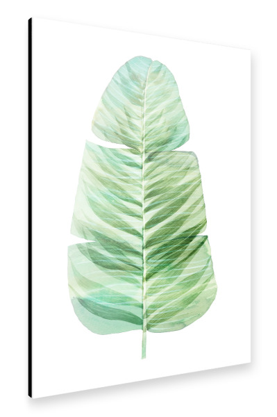 Alu-Dibond "Banana Leaf Watercolor" 30x20 cm artboxONE