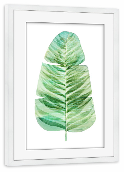 Poster mit Rahmen weiß "Banana Leaf Watercolor" artboxONE - Natur - Banana leaf,Watercolor,Bananenblatt,Banane,Blatt,Leaf,Minimal,Nature,Natur,Floral