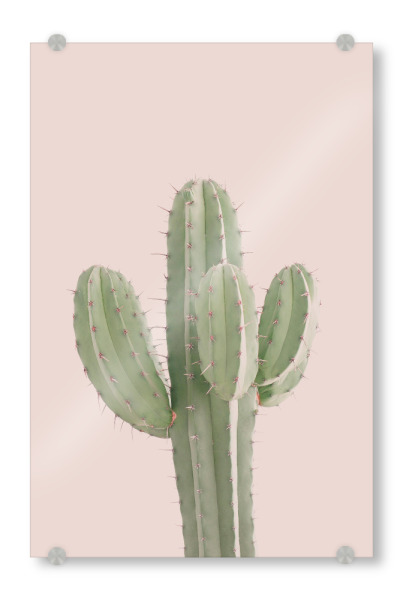 Acrylglasbild "Minimalist Cactus" artboxONE - Natur,Floral