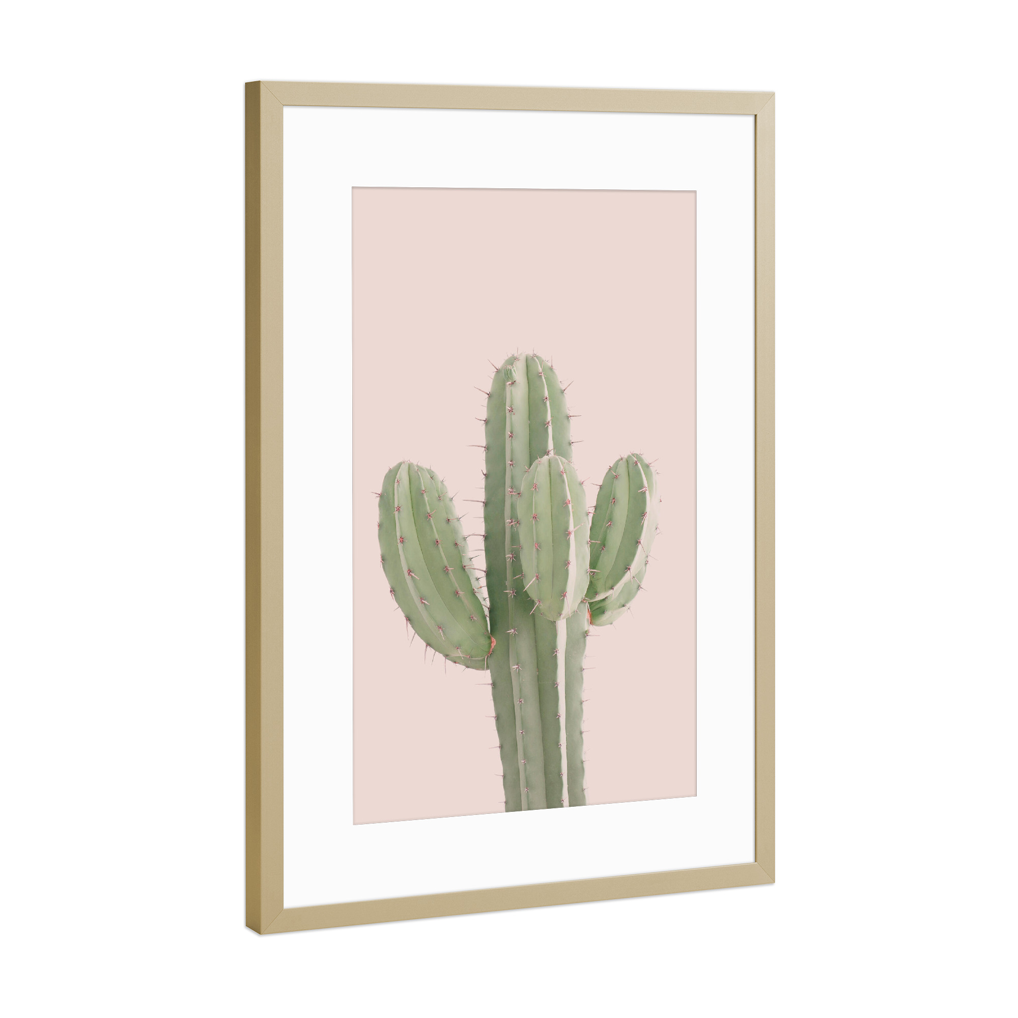 Poster mit Rahmen Gold "Minimalist Cactus" artboxONE - Natur,Floral