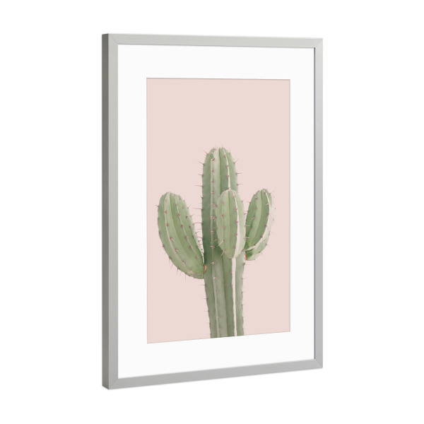 Poster mit Rahmen Silber "Minimalist Cactus" artboxONE - Natur,Floral