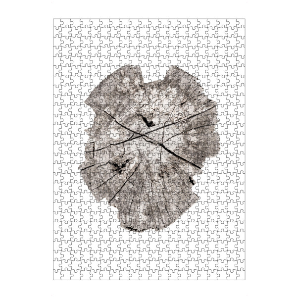 Puzzle Ravensburger "Tree Ring" artboxONE - Natur,Abstrakt - Tree ring,Ring,Baum,Tree,Baumkrone,Old,Abstract,Abstrakt,Nature,Natur,Risse