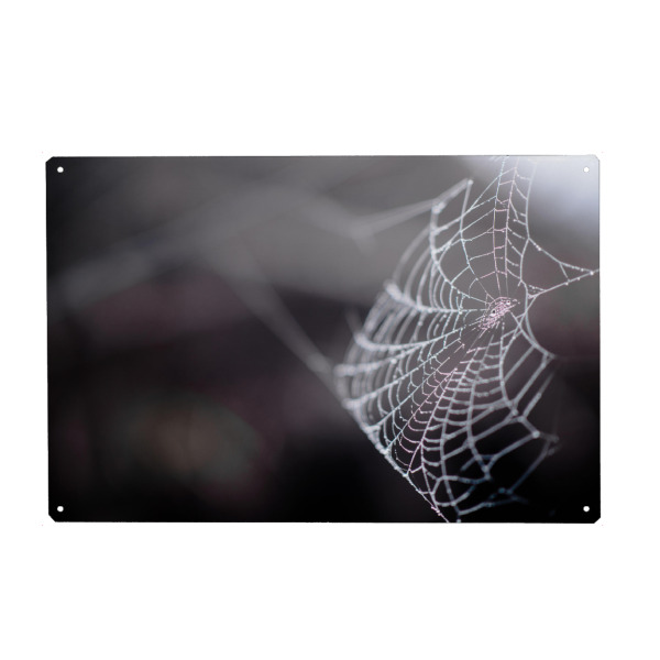 Metall Poster "Dark spider web" artboxONE - Natur,Schwarzweiß