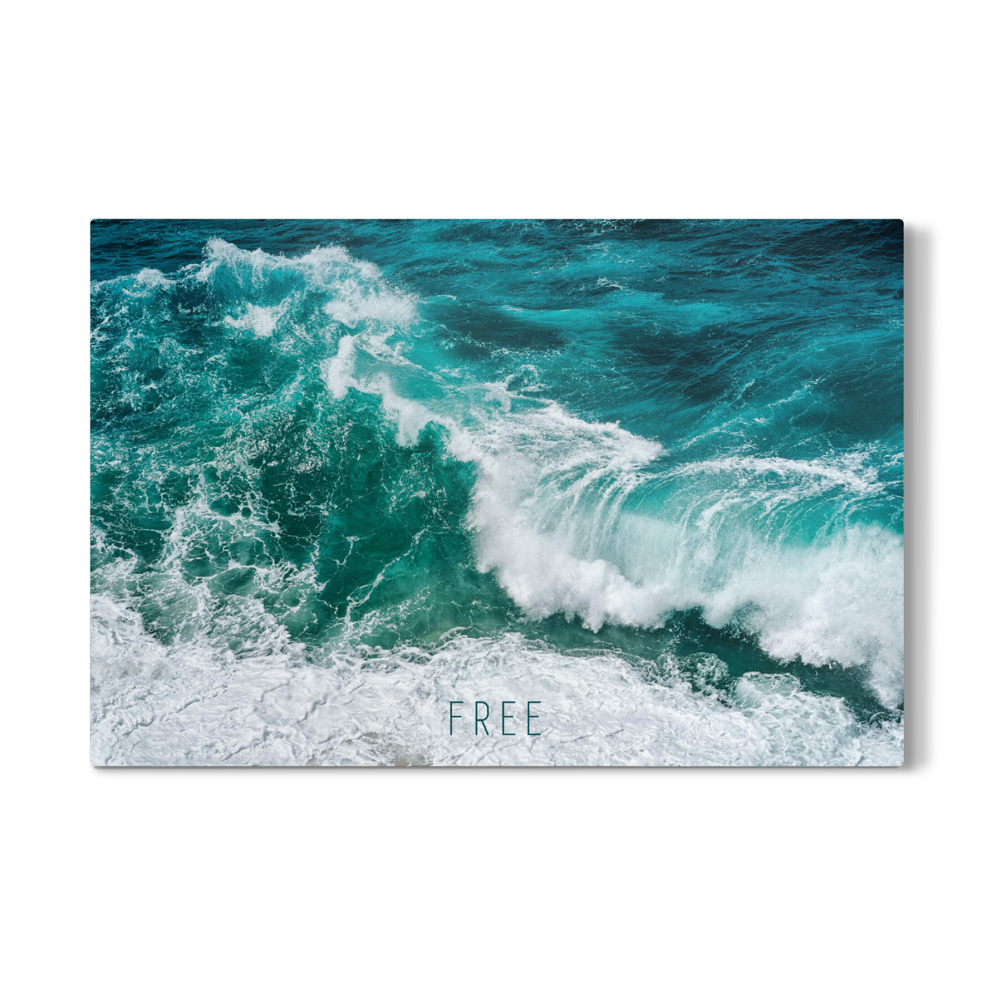 Galerie-Print "FEEL FREE" 75x50 cm artboxONE