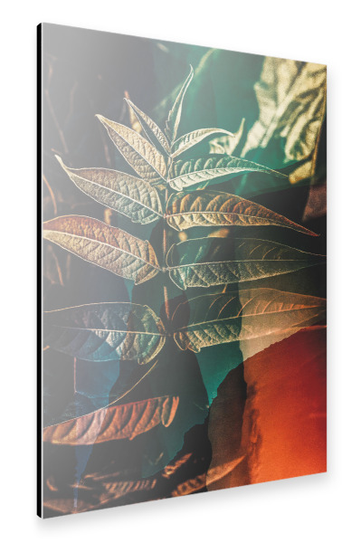 Alu-Dibond "Leaf close up" 30x20 cm artboxONE