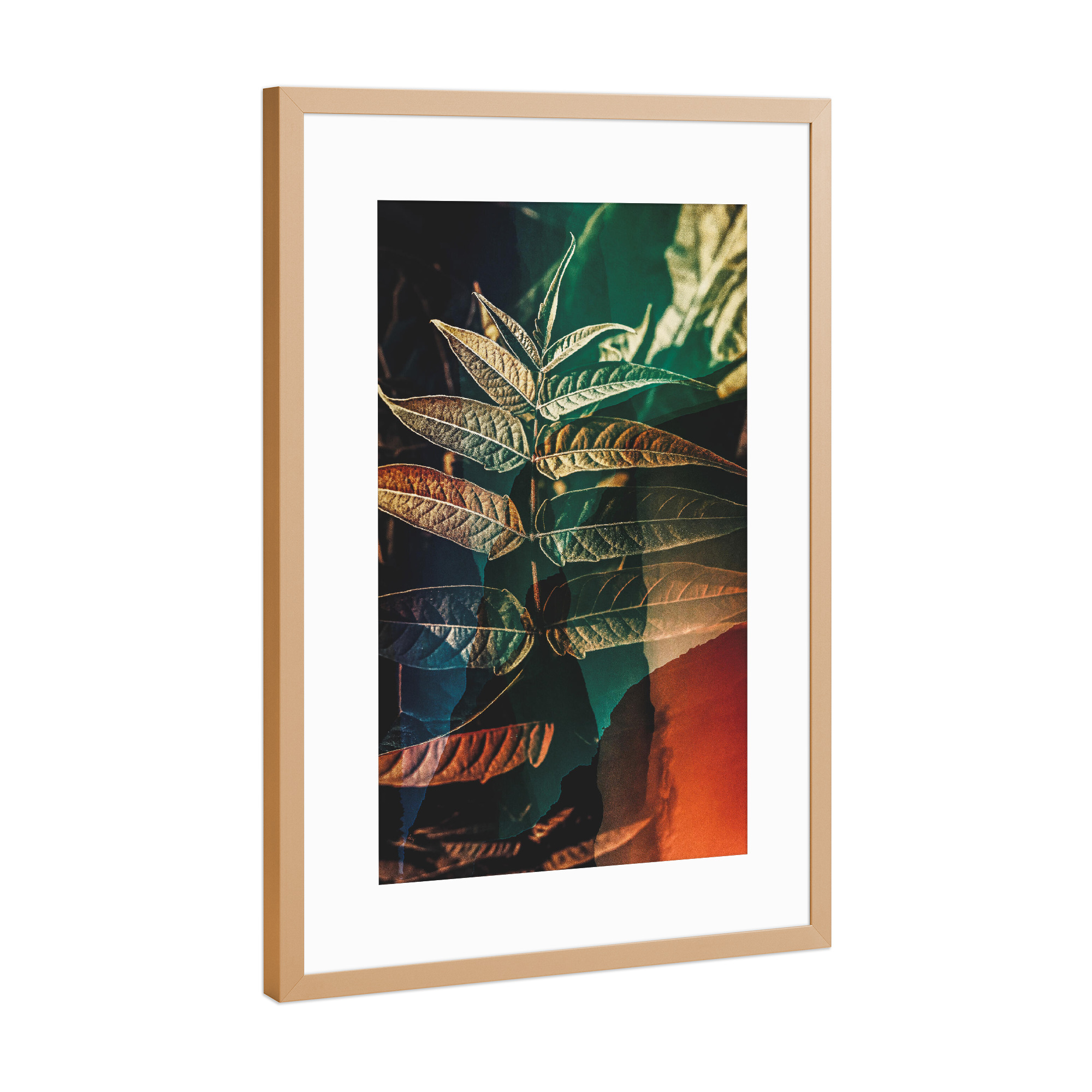 Poster mit Rahmen Kupfer "Leaf close up" artboxONE - Natur,Floral