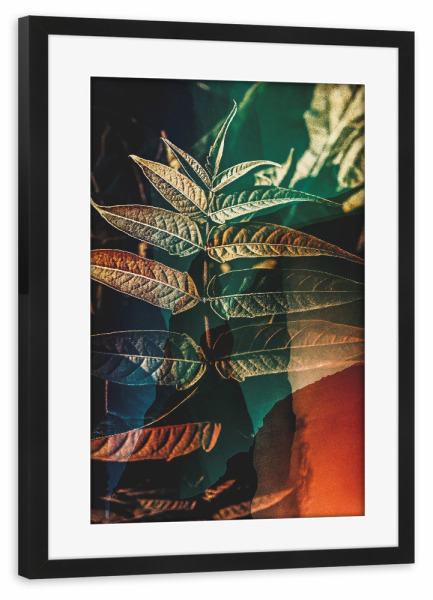 Poster mit Rahmen schwarz "Leaf close up" artboxONE - Natur,Floral