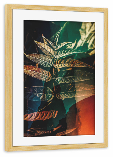 Poster mit Rahmen kiefer "Leaf close up" artboxONE - Natur,Floral