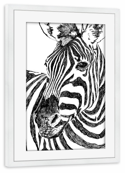 Poster mit Rahmen weiß "Zebra" artboxONE - Natur,Tiere,Schwarzweiß