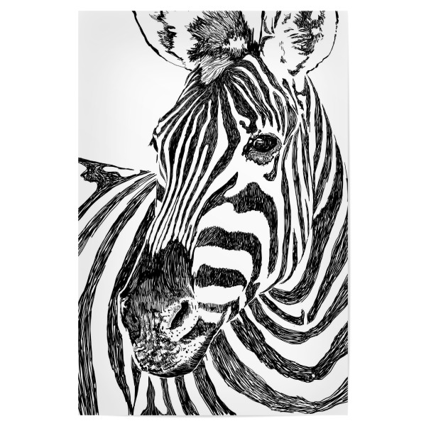 Poster "Zebra" artboxONE - Natur,Tiere,Schwarzweiß
