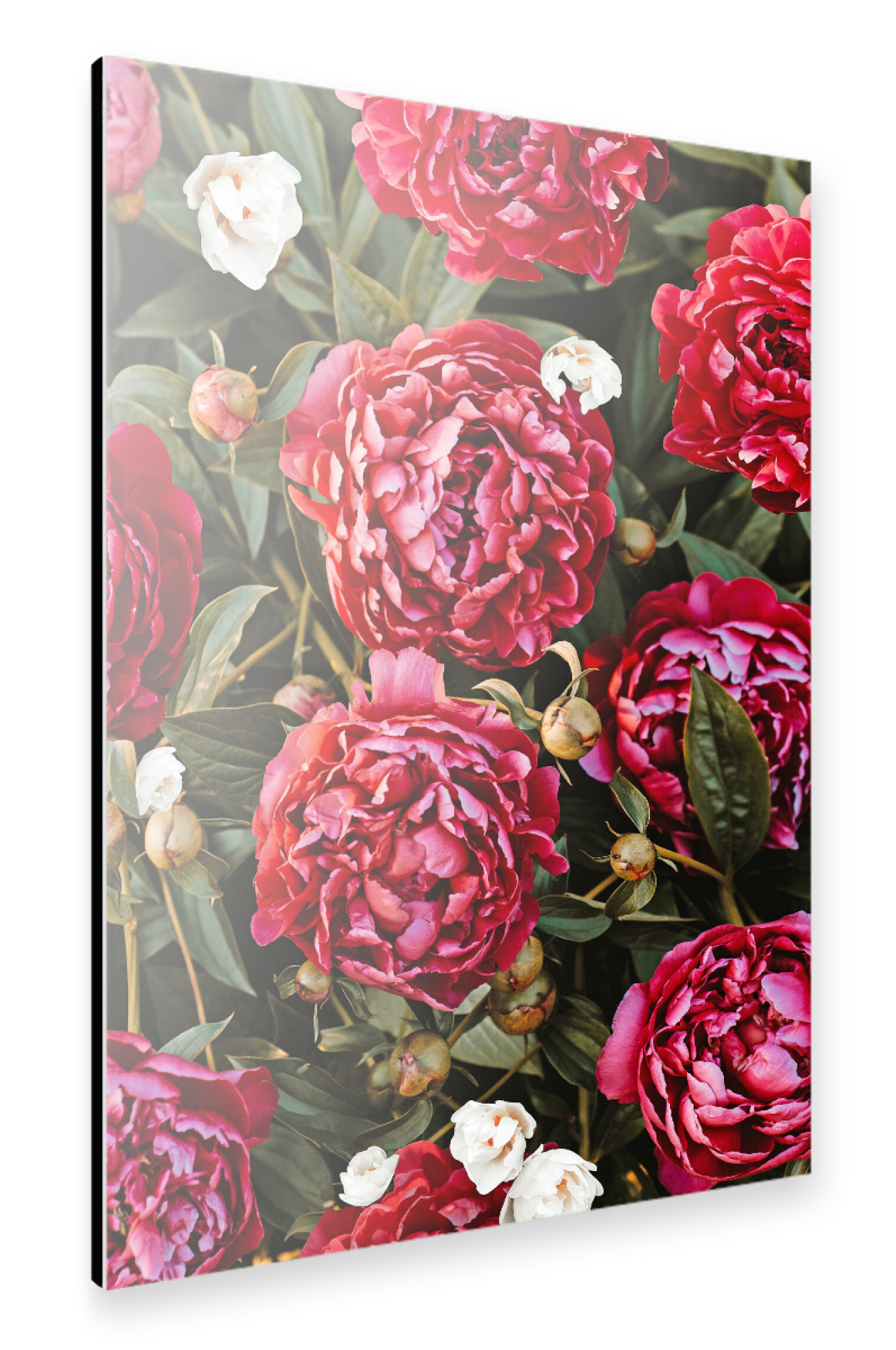Alu-Dibond "Blossom Love Pattern" 75x50 cm artboxONE
