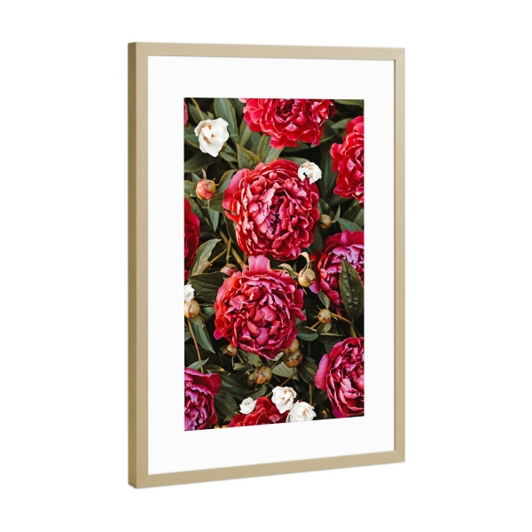 Poster mit Rahmen Gold "Blossom Love Pattern" artboxONE - Natur,Floral