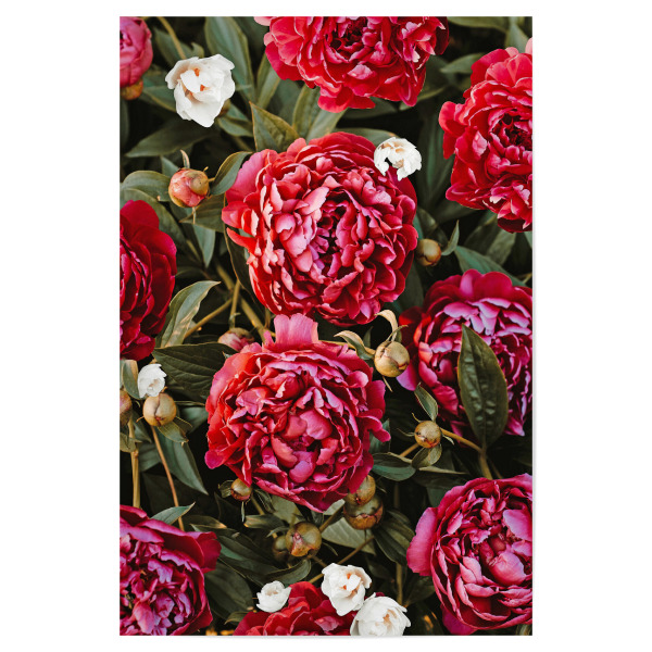 Poster 30x20 cm "Blossom Love Pattern" artboxONE - Natur,Floral