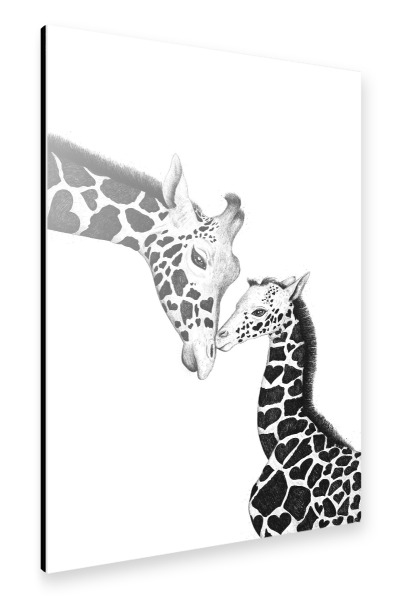 Alu-Dibond "Mom giraffe with a baby" 30x20 cm artboxONE