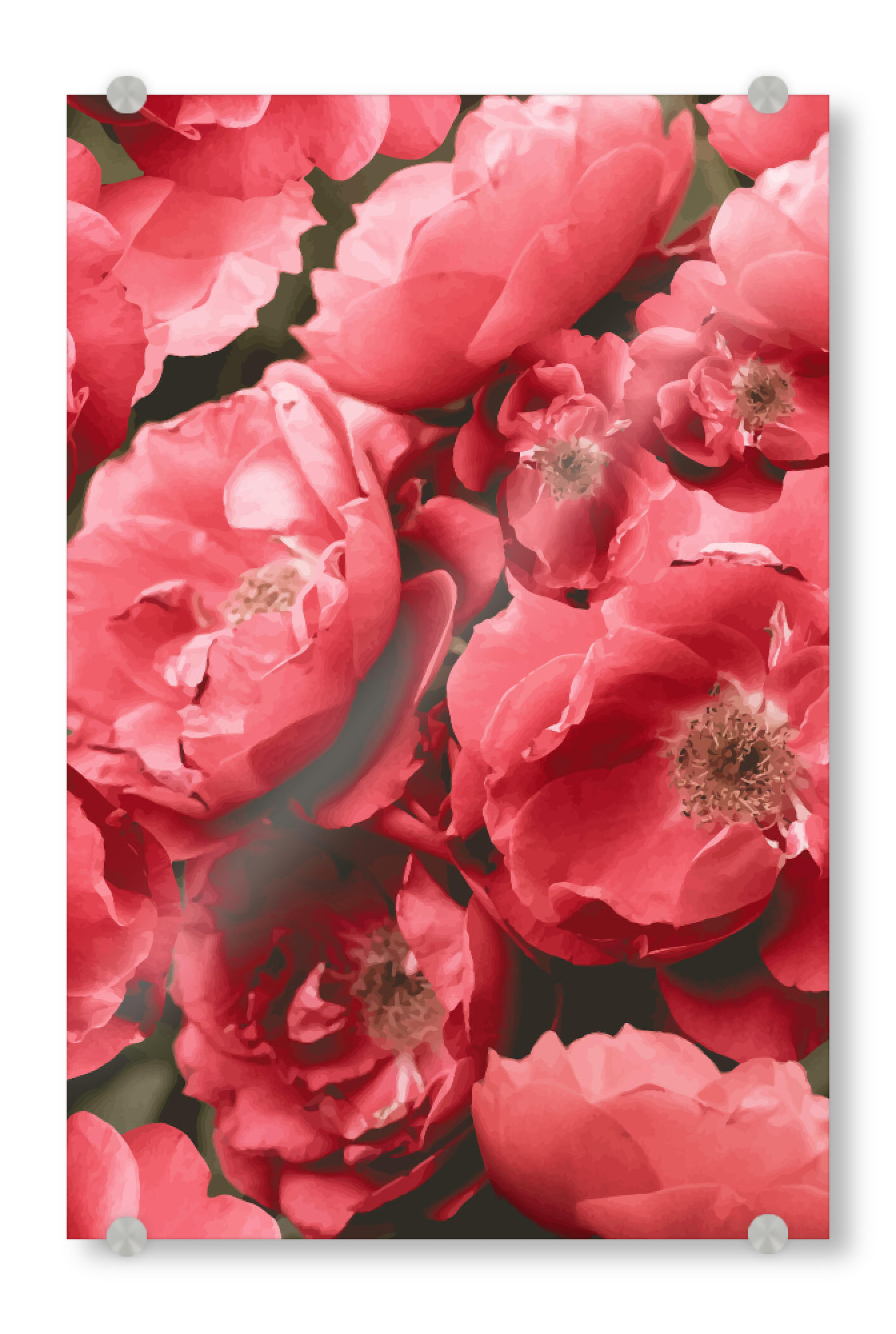 Acrylglasbild "Christina" artboxONE - Natur,Floral