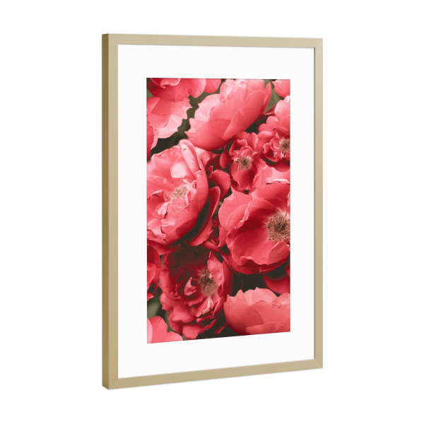 Poster mit Rahmen Gold "Christina" artboxONE - Natur,Floral