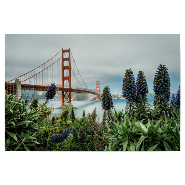 Poster "Golden Gate Bridge USA" artboxONE - Städte,Architektur,Städte / San Francisco