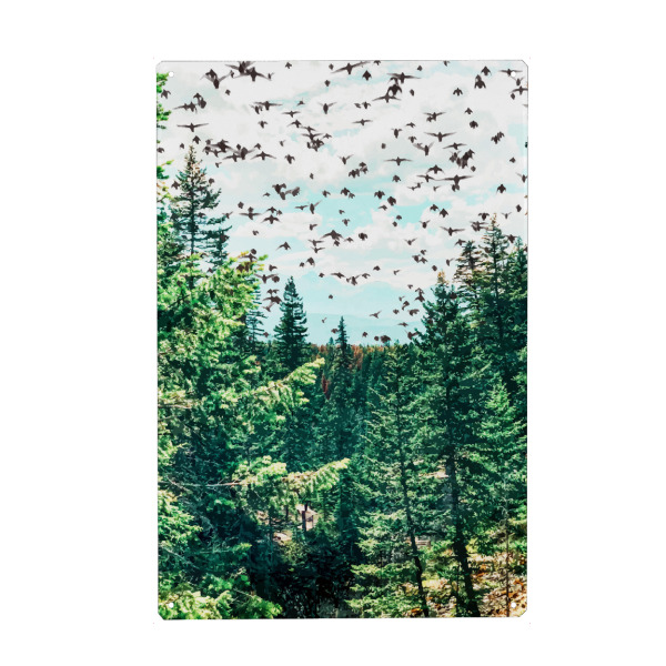 Metall Poster "Save The Planet" artboxONE - Natur,Tiere