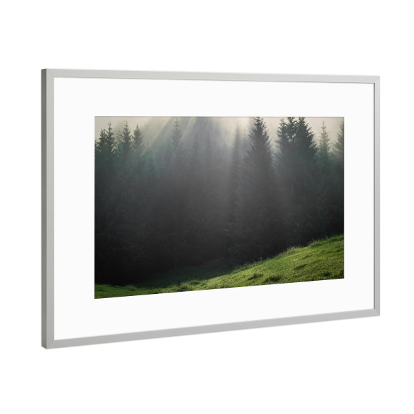 Poster mit Rahmen Silber "Wald im Karwendel" artboxONE - Natur