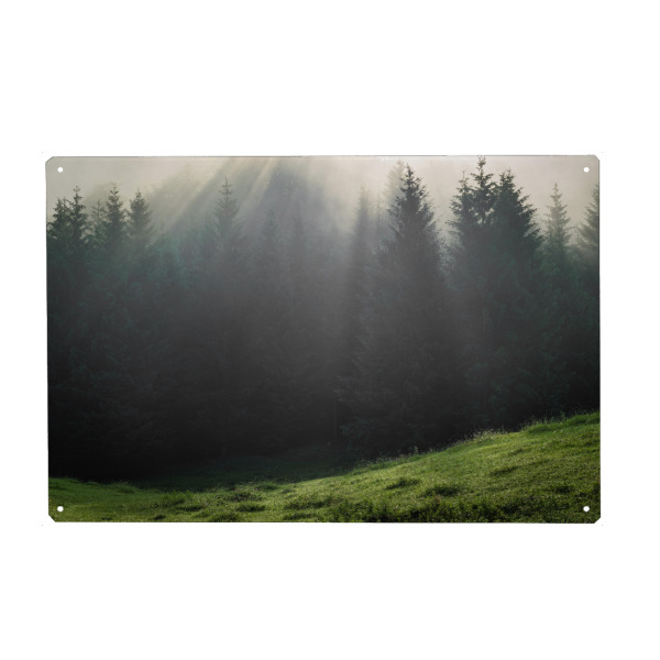 Metall Poster "Wald im Karwendel" artboxONE - Natur