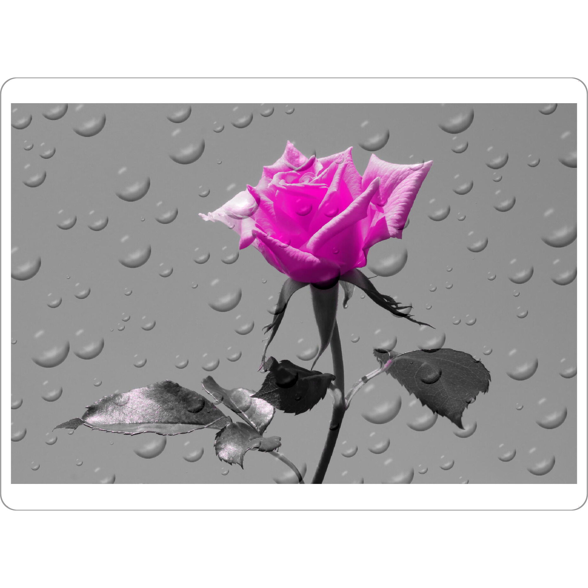Tischset "Rosen Tropfen magenta ck" artboxONE - Floral,Abstrakt,Schwarzweiß,Liebe