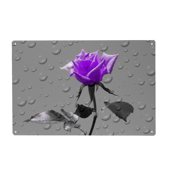 Holzbild "Rosen Tropfen lila ck" artboxONE - Floral,Abstrakt,Schwarzweiß,Liebe