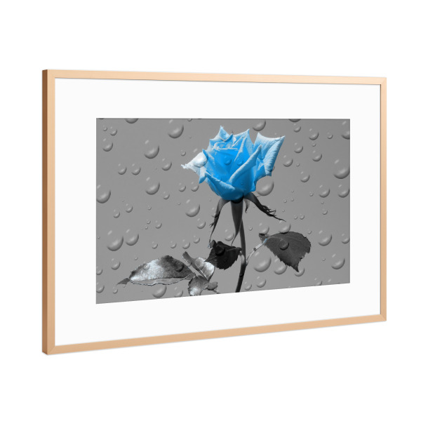 Poster mit Rahmen Kupfer "Rosen Tropfen blau ck" artboxONE - Floral,Abstrakt,Schwarzweiß,Liebe