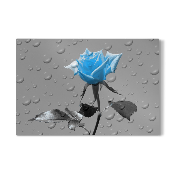 Galerie-Print "Rosen Tropfen blau ck" 30x20 cm artboxONE